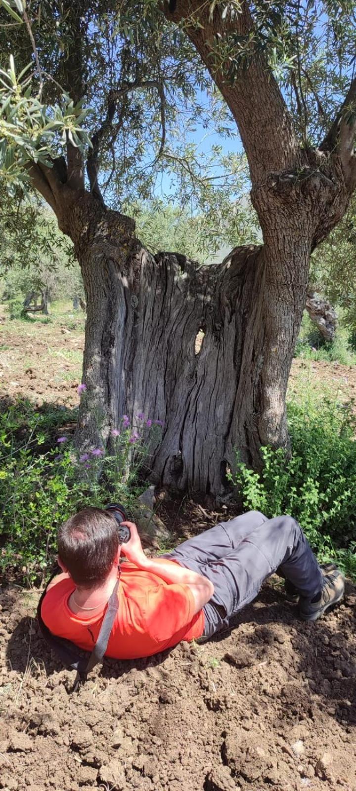 Vila Casa Della Nonna Caltavuturo Exteriér fotografie