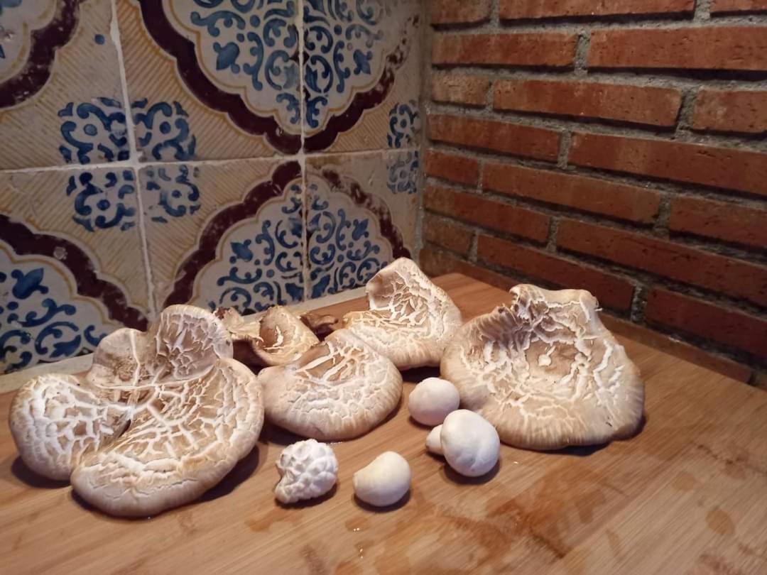 Vila Casa Della Nonna Caltavuturo Exteriér fotografie