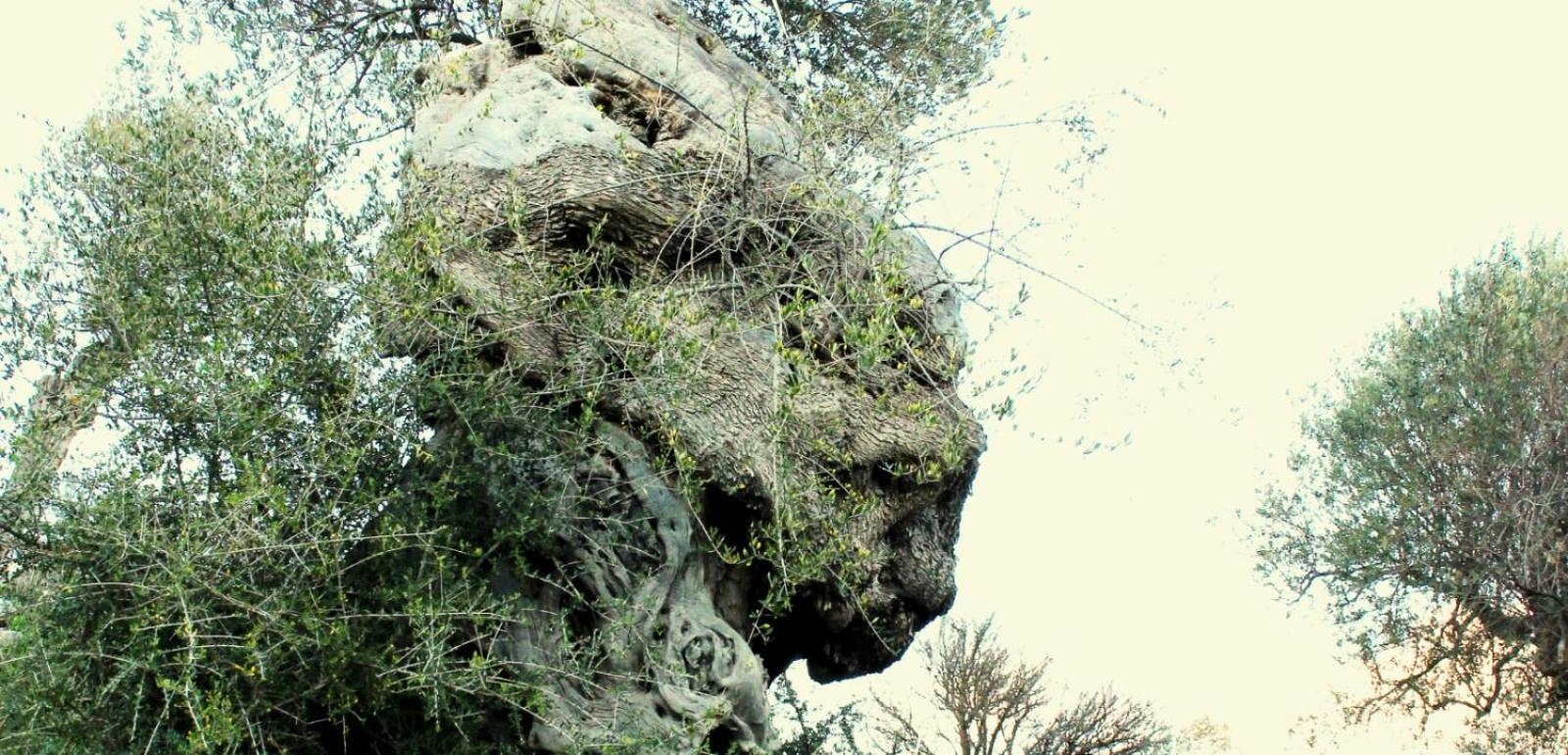 Vila Casa Della Nonna Caltavuturo Exteriér fotografie